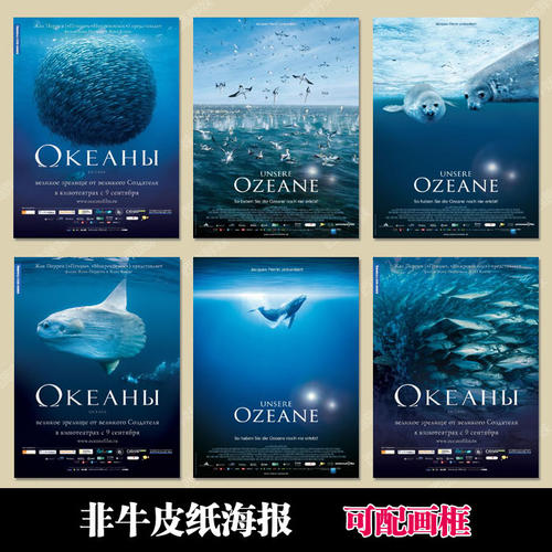 自考本科学位证书照片
